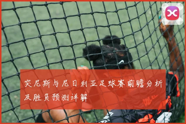 突尼斯与尼日利亚足球赛前瞻分析及胜负预测详解
