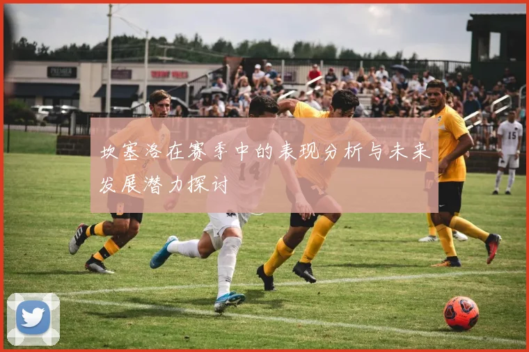 坎塞洛在赛季中的表现分析与未来发展潜力探讨
