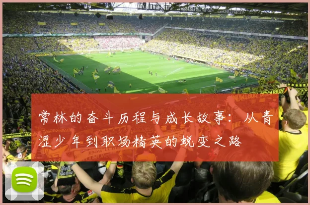 常林的奋斗历程与成长故事：从青涩少年到职场精英的蜕变之路